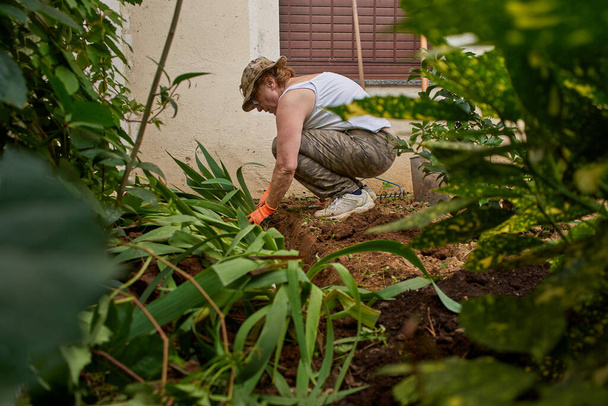 Oudere vrouw werkzaam in de tuin op de tuin - Foto, afbeelding