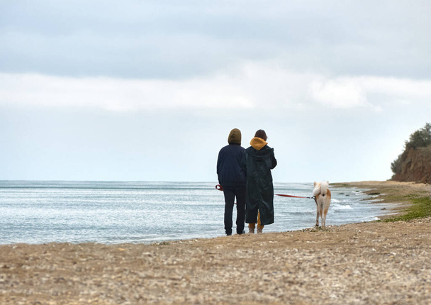 Coppia con cane in riva al mare - Foto, immagini