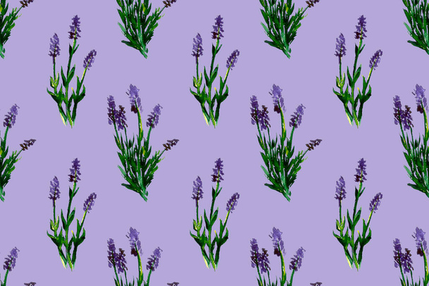 Watercolor illustration of lavender flowers. Seamless pattern with hand drawn wildflowers. Floral element for fresh summer design. - Foto, imagen