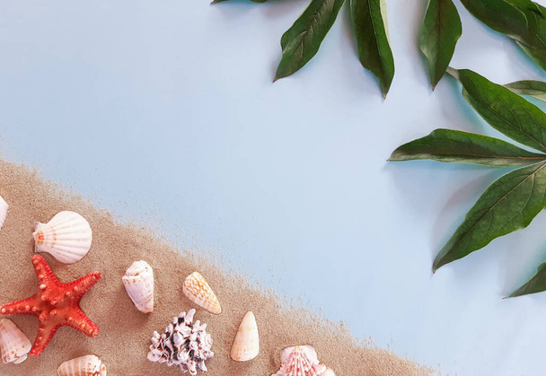 Komposition vieler weißer, beiger exotischer Muscheln in verschiedenen Formen auf dem Sand. Sommerwerbung mit Meereskonzept und dekorativen Blättern auf blauem Hintergrund. Flache Lage, Draufsicht, Nahaufnahme, Kopierraum - Foto, Bild