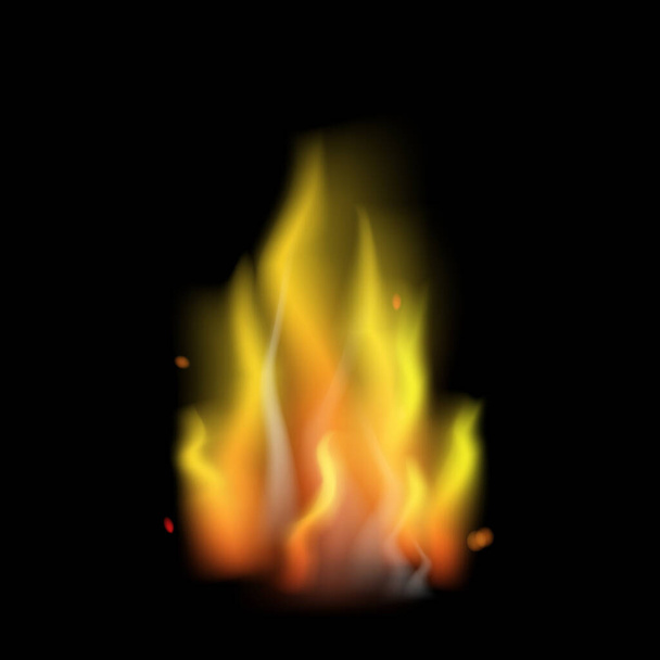 realistyczny wektor ognia - Wektor, obraz