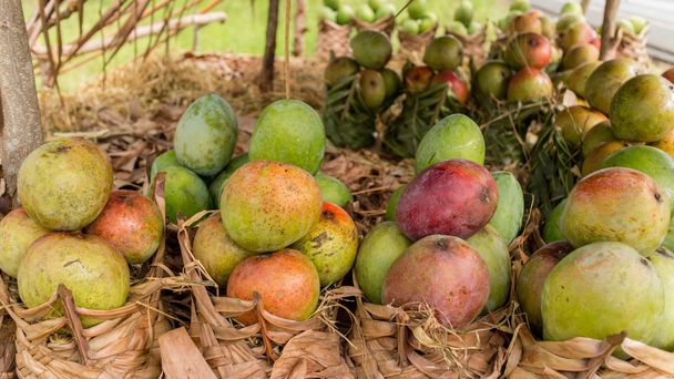 mangó-on egy helyi gyümölcs stand - Fotó, kép