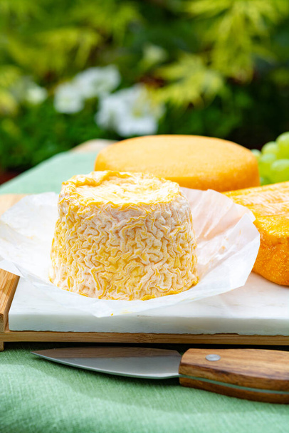Colección de quesos franceses, Langres y Le peche des bons peres quesos servidos con uvas sobre plato de mármol blanco al aire libre en jardín verde
 - Foto, imagen