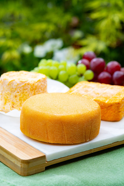 Colección de quesos franceses, Riche de Saveurs, Langres y Le peche des bons peres quesos servidos con uvas sobre plato de mármol blanco al aire libre en jardín verde
 - Foto, imagen