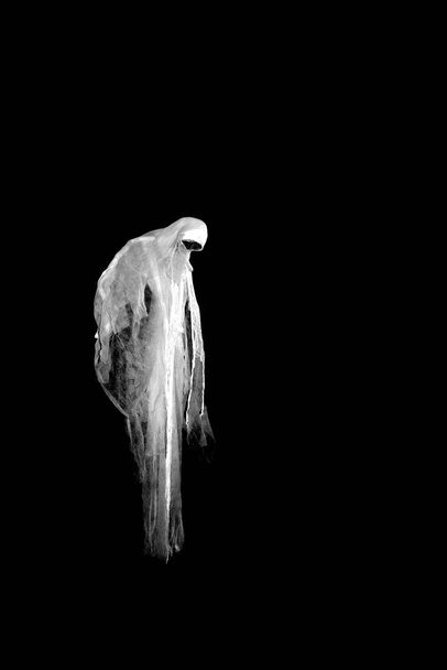 A scary ghost on a black background. - Valokuva, kuva