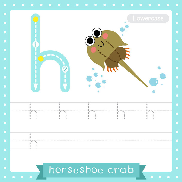 Letter H lowercase cute children colorful zoo and animals ABC alphabet tracing practice worksheet of Horseshoe Crab for kids learning English vocabulary and handwriting vector illustration. - Вектор,изображение