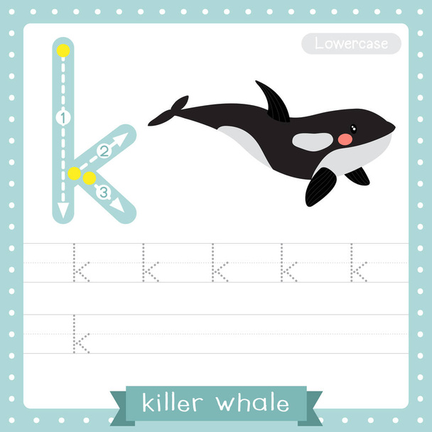 Letter K lowercase cute children colorful zoo and animals ABC alphabet tracing practice worksheet of Killer whale for kids learning English vocabulary and handwriting vector illustration. - Wektor, obraz