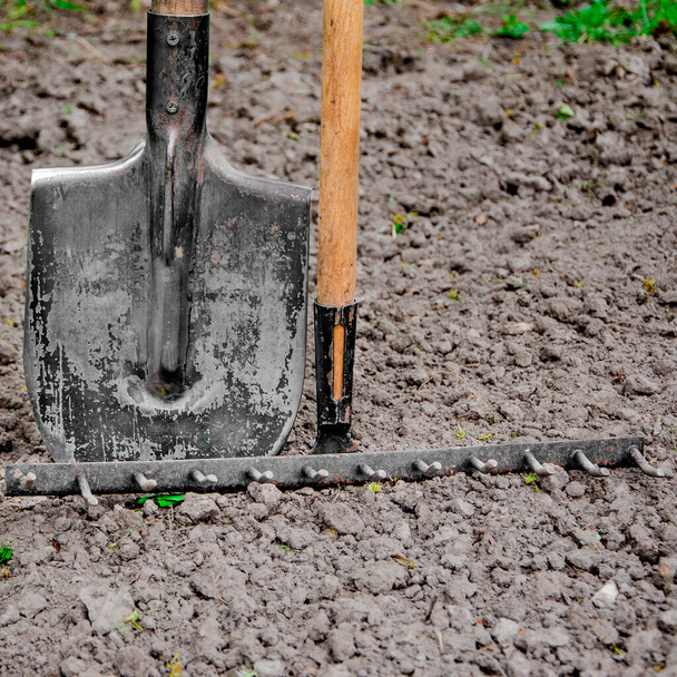 Bahçıvanlık için gerekli aletler verimli topraklardaki bahçede duruyor. - Fotoğraf, Görsel
