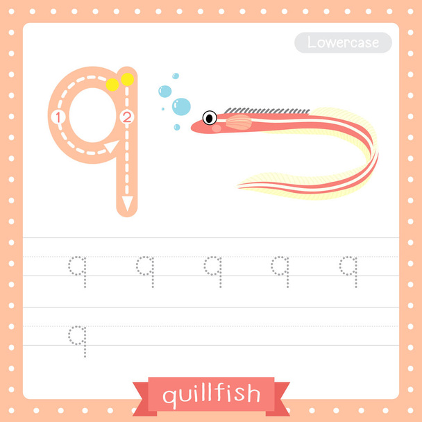 Letter Q lowercase cute children colorful zoo and animals ABC alphabet tracing practice worksheet of Quillfish for kids learning English vocabulary and handwriting vector illustration. - Vektör, Görsel