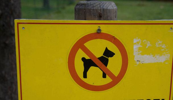 Sarı. Parkta köpeklerin imza atmasına izin yok. Ağaçlar ve yeşil arka planda. - Fotoğraf, Görsel