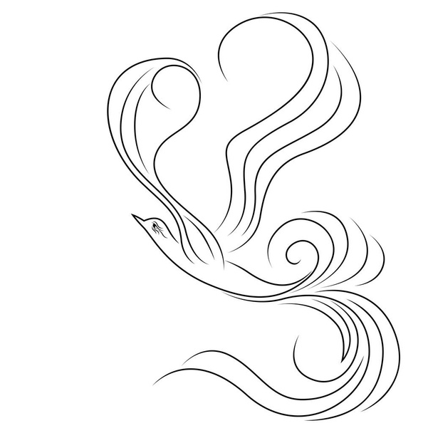 Black outline of abstract magic flying bird whose wings and tail are made as long wavy lines isolated on the white background - Vector, Image