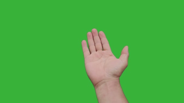 Beelden real-time hand van Aziatische man zwaaien uitnodigen om deel te nemen geïsoleerd op chroma toets groen scherm achtergrond. Welkomstconcept. - Video