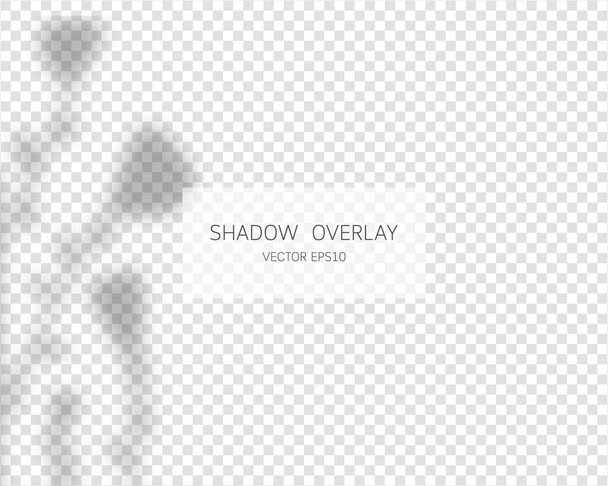 Efecto de superposición de sombras. Sombras naturales aisladas sobre fondo transparente. Ilustración vectorial.  - Vector, imagen