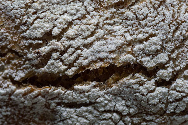Čerstvé domácí pečené řemeslné chlebové bochníky - Fotografie, Obrázek