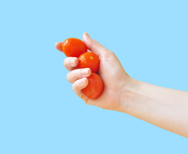 Red cherry tomatoes in a hand. Hand holds tomatoes. Blue background. - Foto, afbeelding