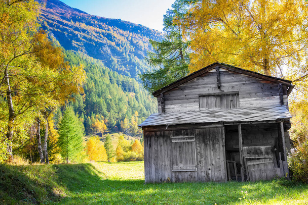 Вид на старый деревянный дом, листья леса, природа на холме, опавшие листья зимой Швейцарии
. - Фото, изображение