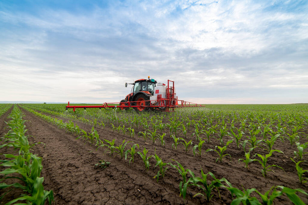 Tractor spray bemesten veld met insecticide herbicide chemicaliën in de landbouw gebied  - Foto, afbeelding