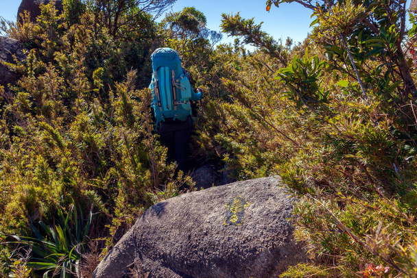 Mensen wandelen met grote rugzakken in het berglandschap - trekking bergbeklimmen in mantiqueira bereik Brazilië - Foto, afbeelding