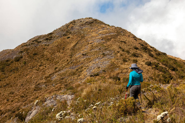 Paesaggio vista montagna da Pico Tres Estados (confine 3 stati) vetta - Foto, immagini