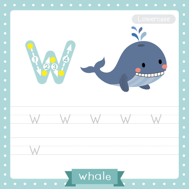 Letter W lowercase cute children colorful zoo and animals ABC alphabet tracing practice worksheet of Blue Whale for kids learning English vocabulary and handwriting vector illustration. - Wektor, obraz