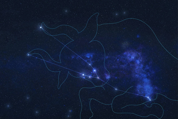Tauro Constelación estrellas en el espacio exterior. Signo del Zodíaco Constelación de Tauro en líneas. Elementos de esta imagen fueron proporcionados por la NASA
  - Foto, Imagen