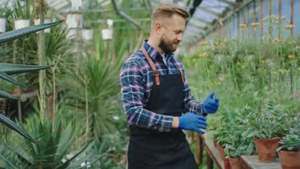 Pretty looking man with a beard gardener in his flower greenhouse very happy taking a plant with a pot from the table looking straight to the camera and smiling large. Shot on ARRI Cinema Camera - Footage, Video