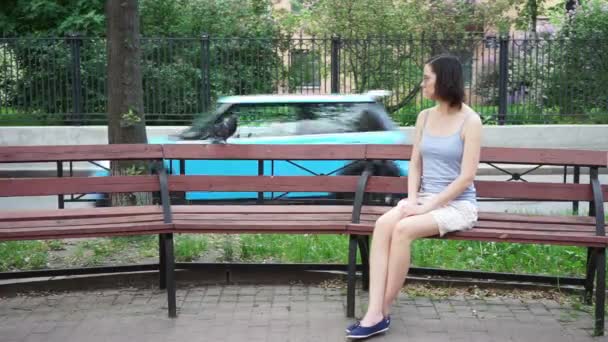 a girl and a pigeon sitting on a bench - Materiaali, video