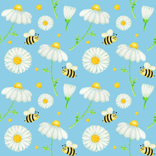 Watercolor daisy chamomile flower seamless pattern with fly bee illustration. Hand drawn botanical herbs on blue background. White flowers, buds, stems, grass. Wild botanical garden bloom - Fotografie, Obrázek