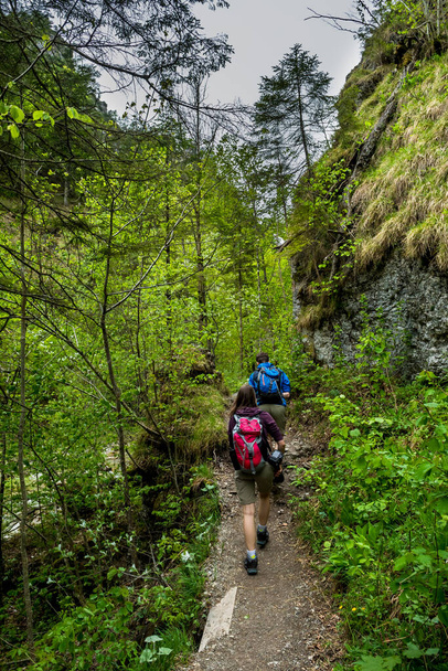 Les jeunes marchent sur le sentier forestier de randonnée à Oetschergraeben en Autriche - Photo, image
