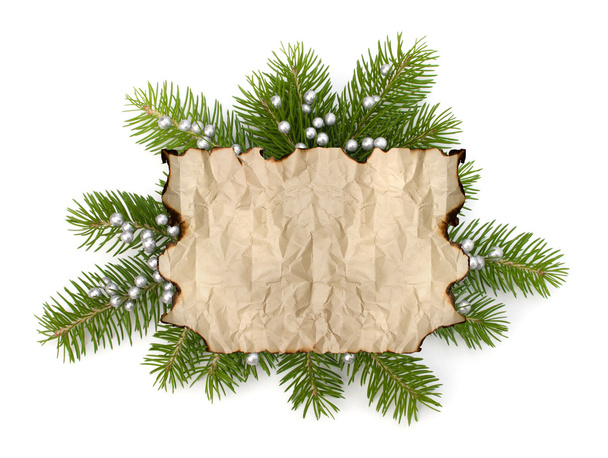 Старая пергаментная бумага с копировальным местом на ветке елки
 - Фото, изображение