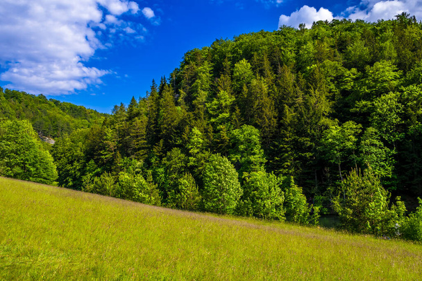 Rural Landscape With Forest And Mountain In Austria - Photo, image