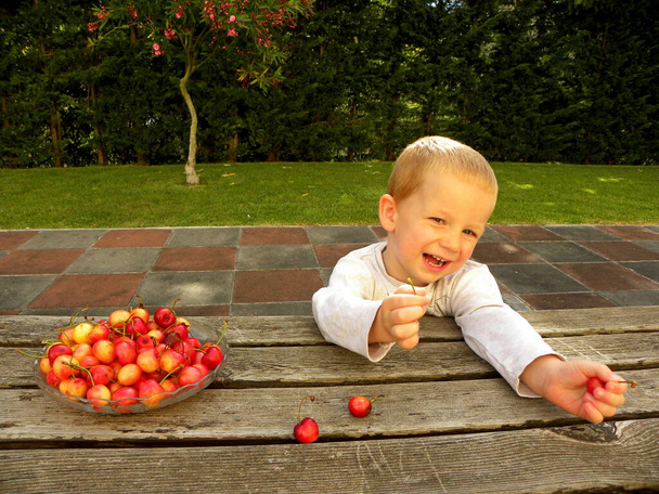 Charming blond boy sits at a wooden table and holds a sweet cherry in his hands. Three year old boy eating sweet cherries and smiling. - Photo, Image