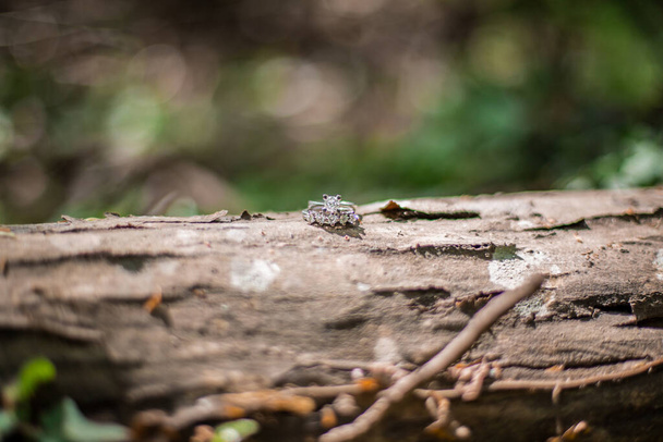Belos anéis de noivado de diamante brilhantes colocados em um tronco na floresta, com espaço de cópia
 - Foto, Imagem
