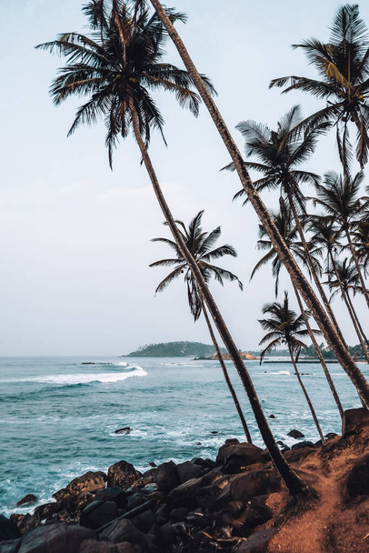 Kokosový Tree Hill orientační bod u pláže Mirissa. Palmy rostou diagonálně po celém kopci. Kreativní boční úhel s mořem v pozadí. Krásný výhled při východu slunce. - Fotografie, Obrázek