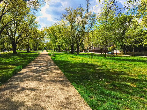 Napfényes sikátor a városi parkban tavasszal, természet és szabadtéri táj - Fotó, kép