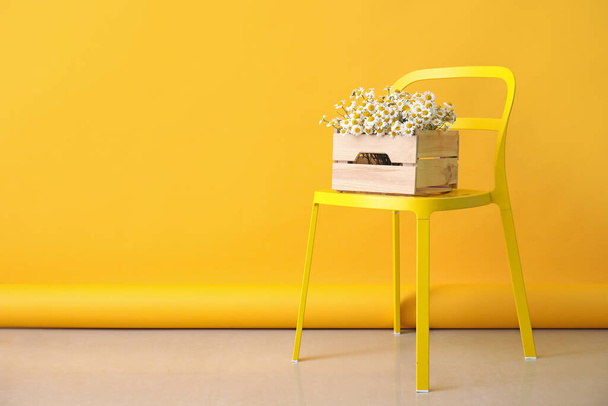 Κουτί με όμορφα χαμομήλια σε καρέκλα σε εσωτερικούς χώρους - Φωτογραφία, εικόνα