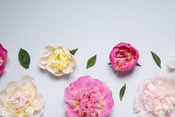 Beautiful fresh peonies and leaves on light grey background, flat lay - Foto, Imagem