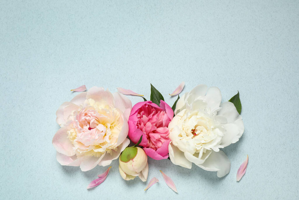 Beautiful fresh peonies on light blue background, flat lay. Space for text - Photo, Image