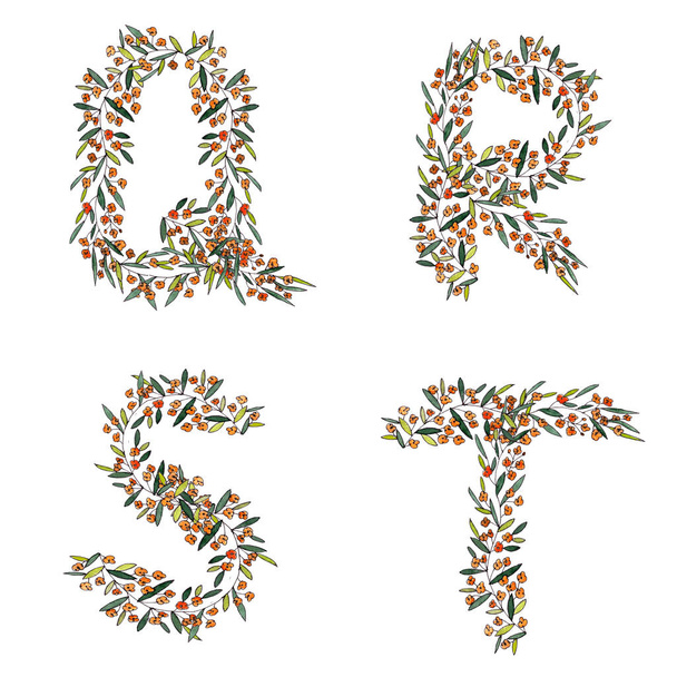 Q, R, S, T. písmena z květinové abecedy na bílém pozadí. Vysoce kvalitní ilustrace - Fotografie, Obrázek