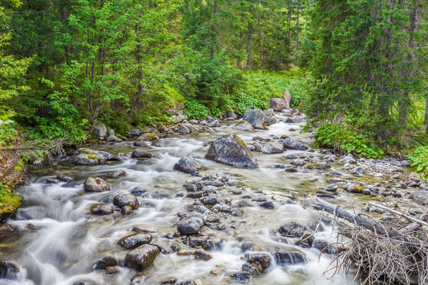 Les montagnes Tatra - un ruisseau d'eau pure
 - Photo, image