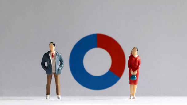 A miniature man and a miniature woman standing in front of a donut chart. The concept of the difference between the recruitment rate of men and women in a business. - Фото, изображение