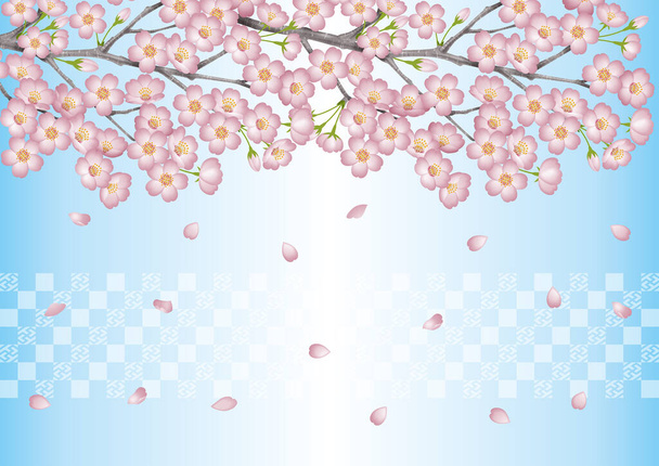 Весной. Фон иллюстрации цветения вишни. / Японская вишня цветет просмотр событий. Синий. Цветущая сакура. - Фото, изображение