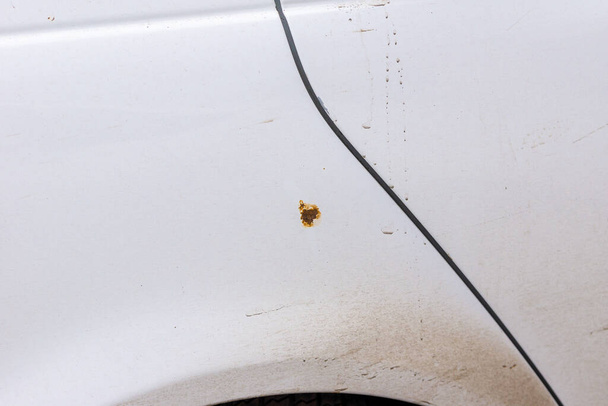 a medium-sized rust stain emerging through a paint-and-lacquer coating due to a violation of technology - Photo, Image