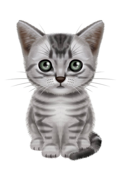 Ilustrace krátkosrsté kočky. Ospalé kotě. Stříbrný tabby. - Fotografie, Obrázek