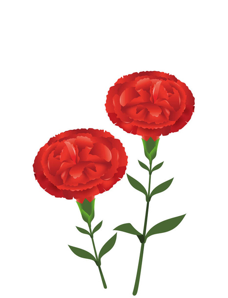 Illustration of red carnation. Flower icon. - Photo, image