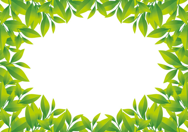 Illustration of frame of tea leaf. / Camellia sinensis. - Foto, immagini
