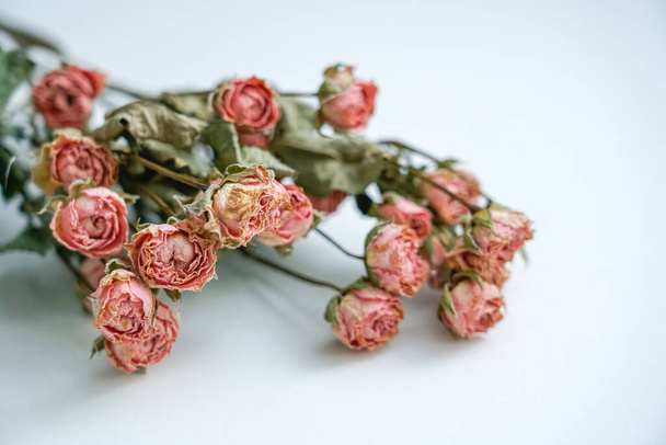 Rosa rosas secas al aire en la mesa blanca
 - Foto, Imagen