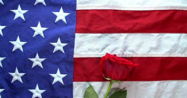 Červené růže padající na americkou vlajku symbolizující americkou ztrátu vojáka v den veteránů nebo v den památníku. - Záběry, video