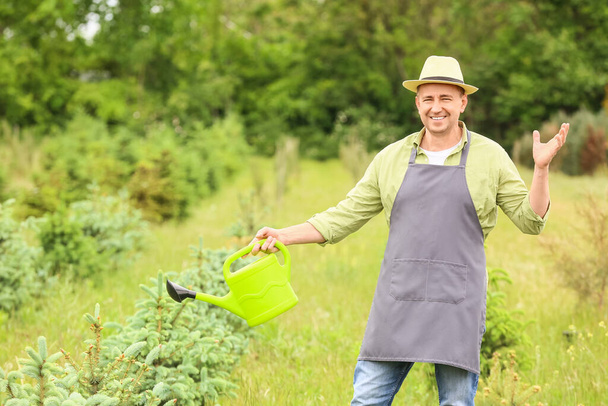 Jardinero masculino con regadera al aire libre
 - Foto, imagen