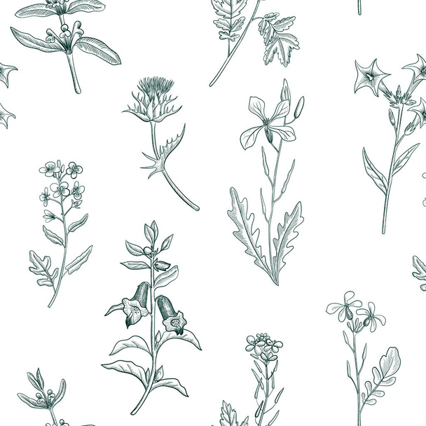 seamless pattern with drawing herbs and flowers - Vetor, Imagem